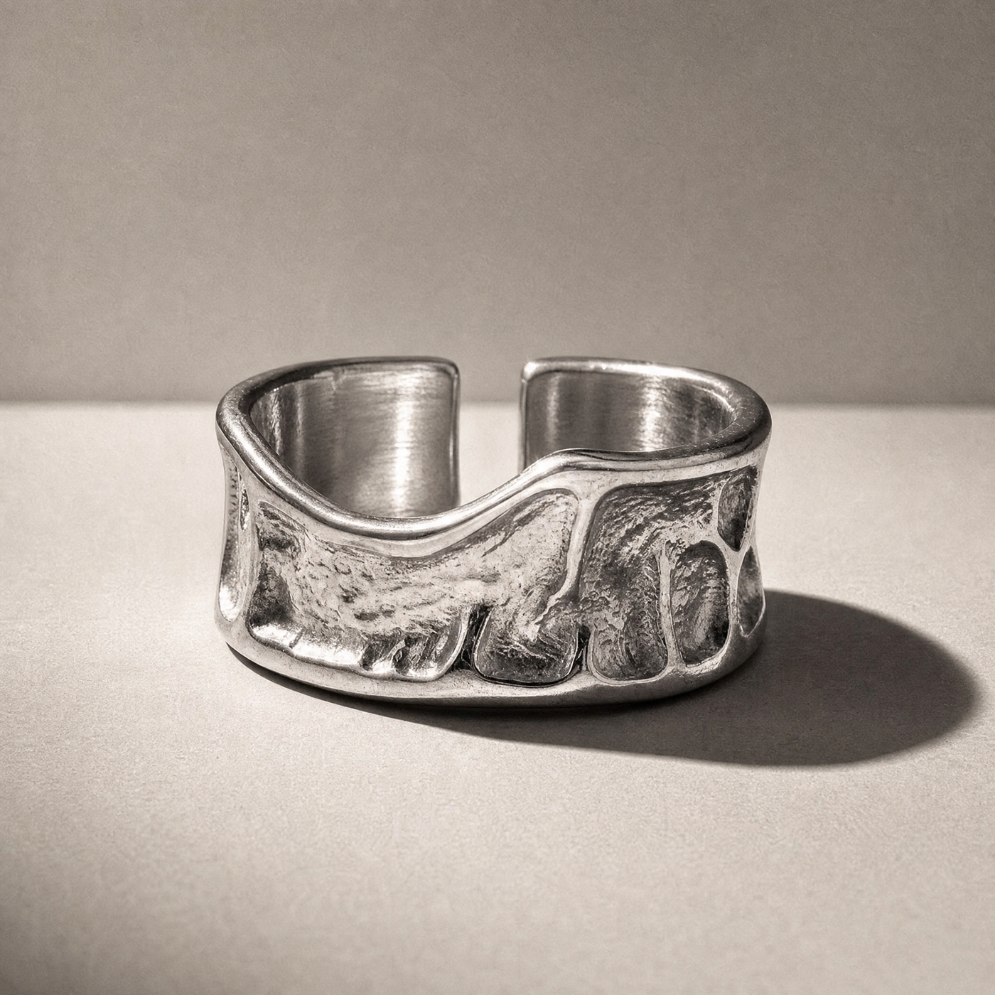 TERRAIN in Silver, studio