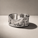 TERRAIN in Silver, studio